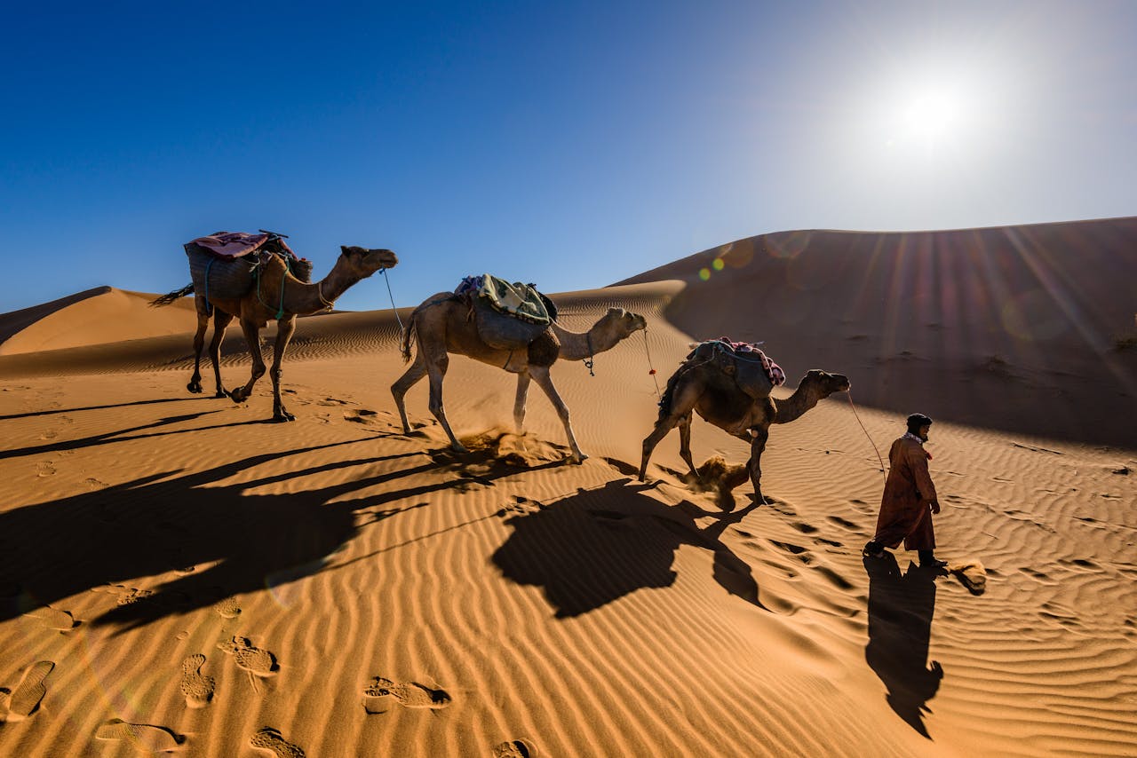 Team building in Marrakech
